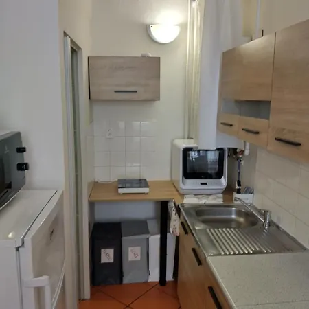 Pilzen Apartment *